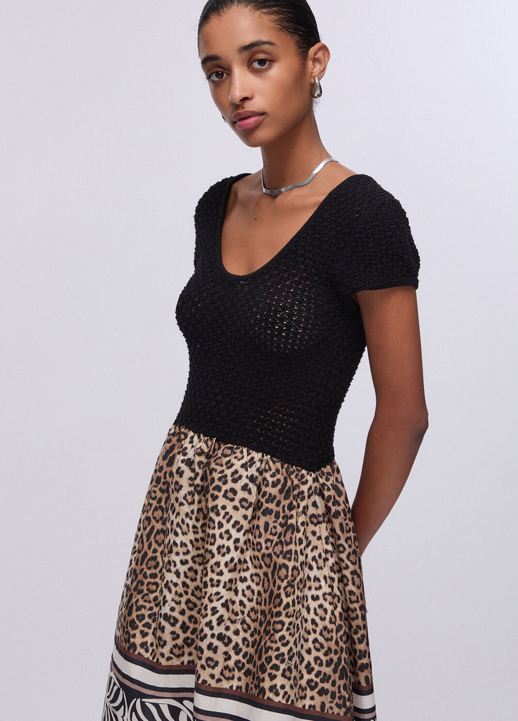 AbitoLiuJoanimalierdettaglio