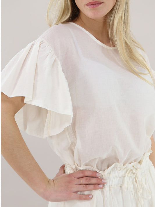 Koccablusapannalaterale