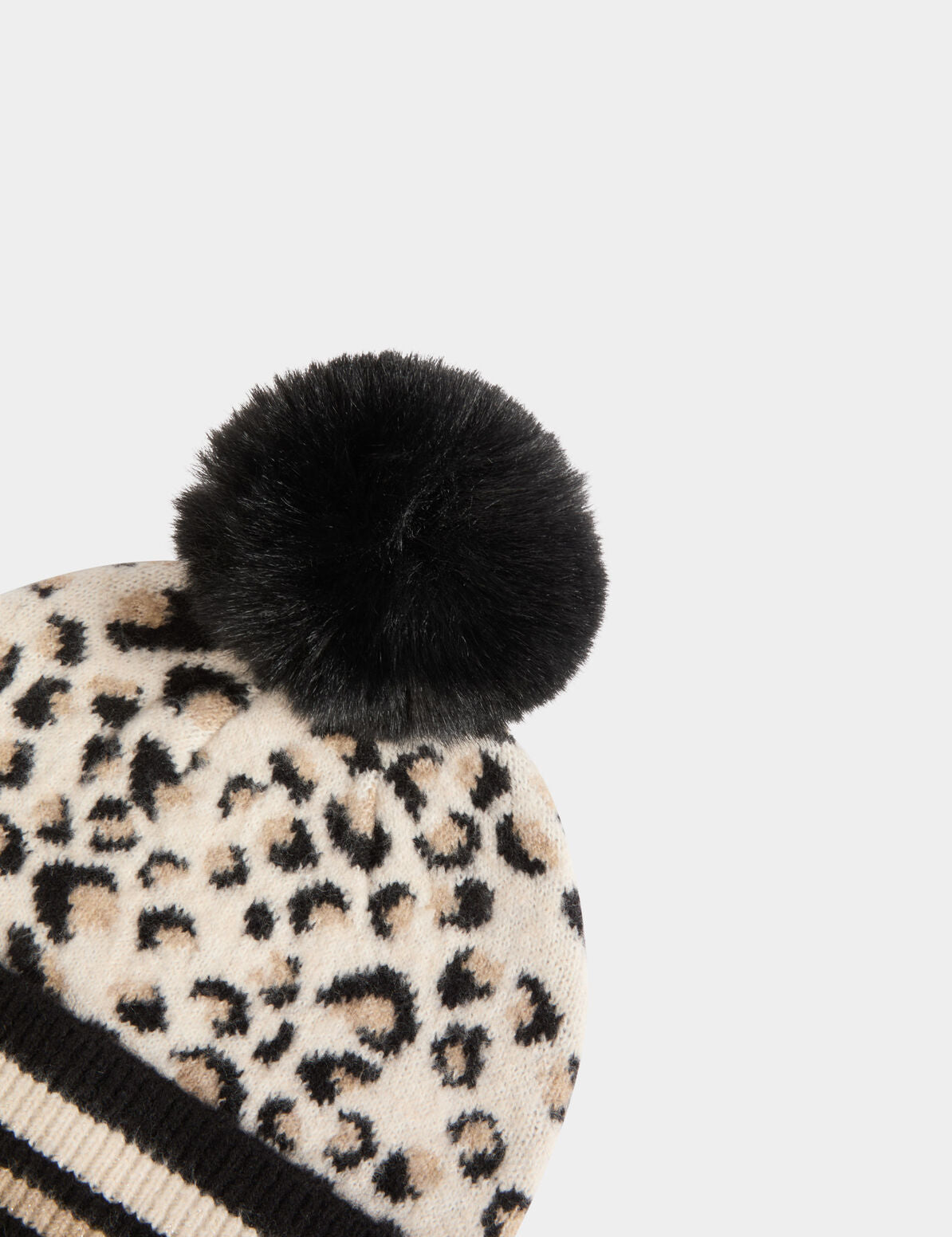 Morgandetoicappellinomaculatodettaglio