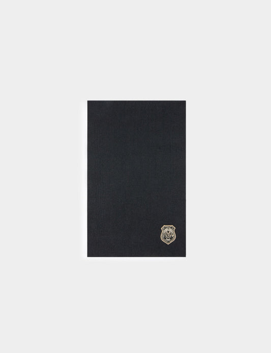 Morgansciarpacollegenerafrontale