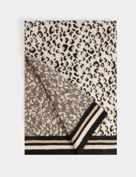 Morgansciarpamaculatafrontale