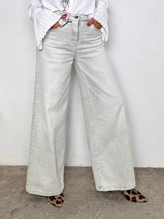 Souvenirjeansapalazzogrigio